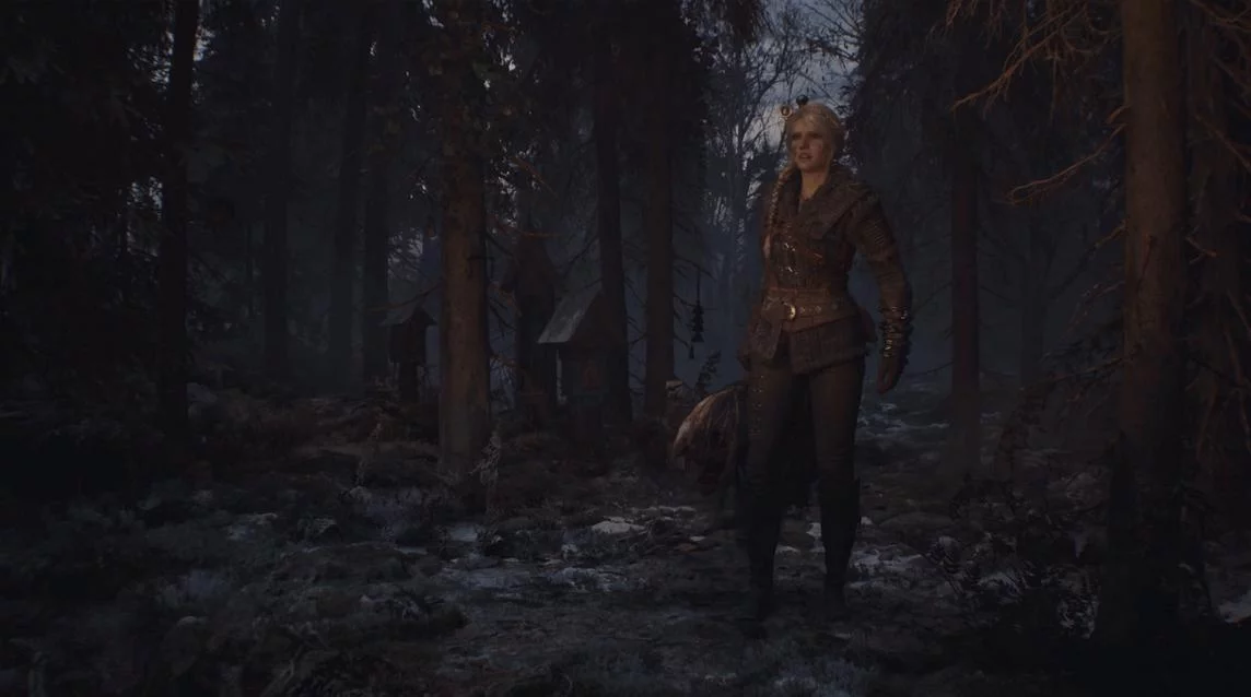 The Witcher 4 New Saga